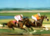 Horse race